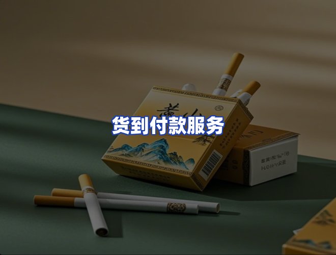 服务优势
